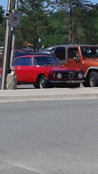Illustration for article titled Crappy pic, but classic Alfa DOTS!